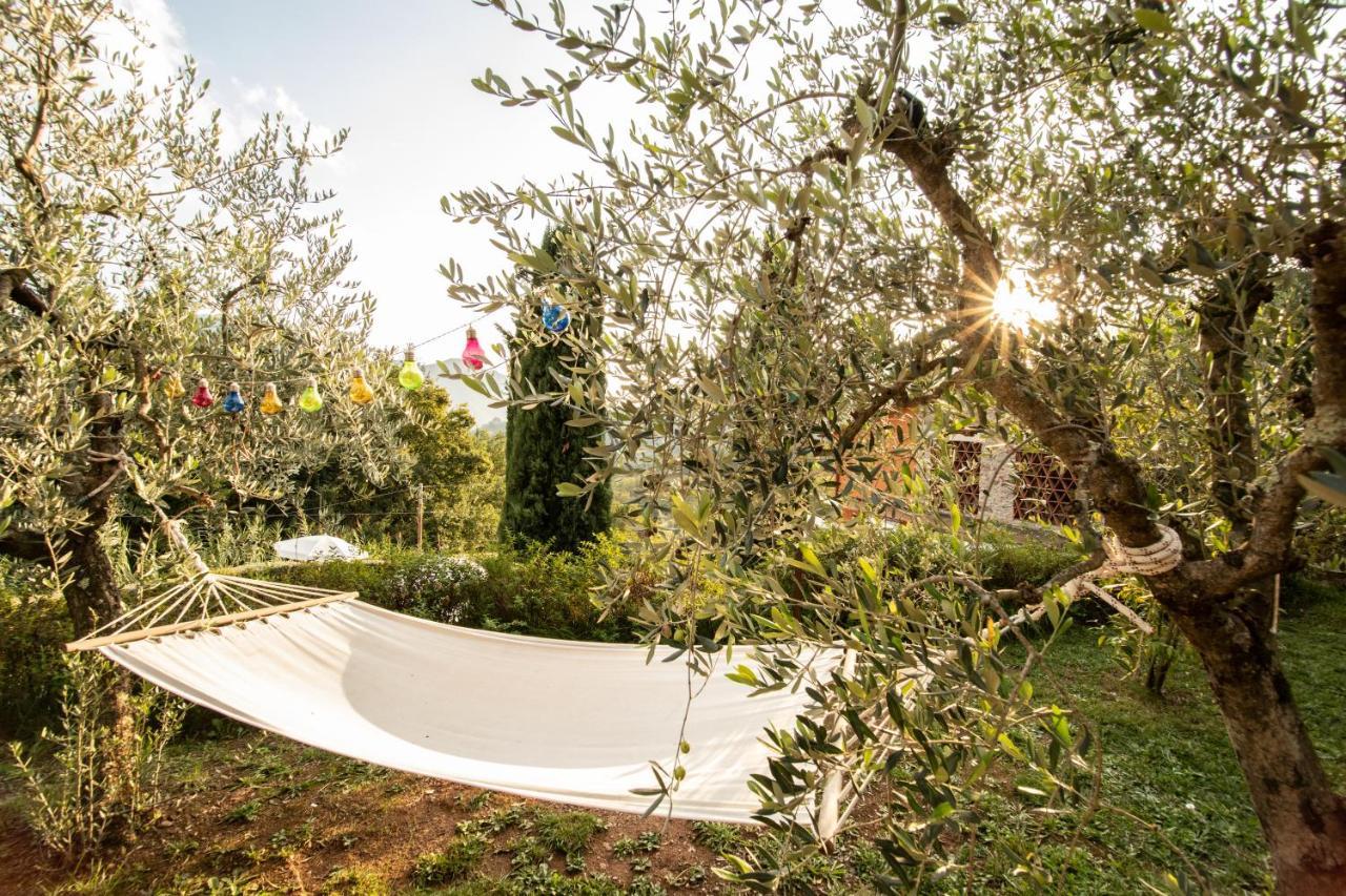 Casetta Di Butia, Appartamento Iris Λούκα Εξωτερικό φωτογραφία