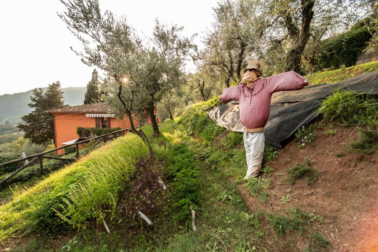 Casetta Di Butia, Appartamento Iris Λούκα Εξωτερικό φωτογραφία